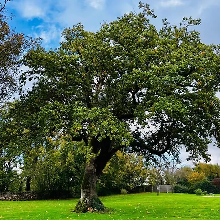펜션 Avec Piscine Et Charme Poitevin *